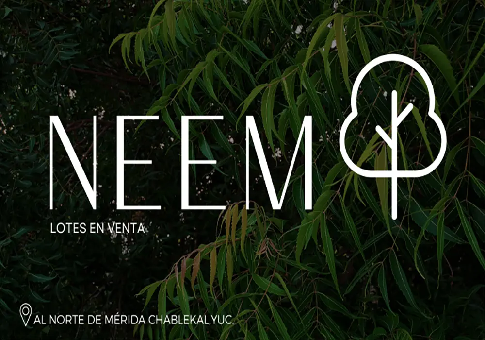 NeemPortada.webp